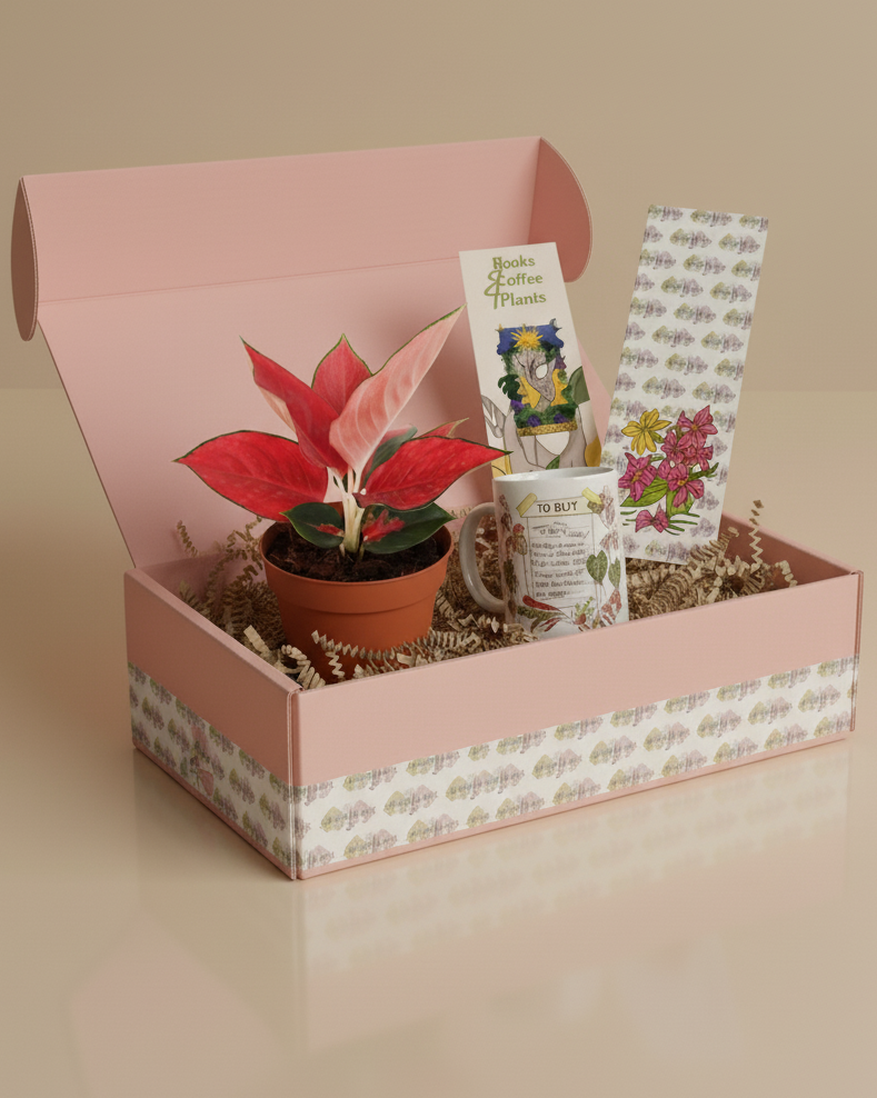 Jenisprouts Gift Box - A Thoughtful Plant Surprise