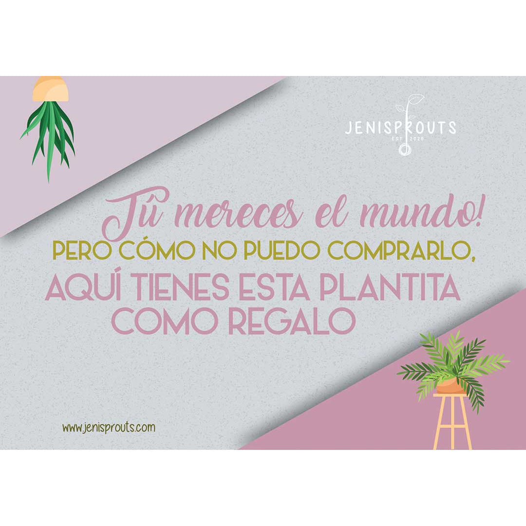 Jenisprouts' Greeting Cards