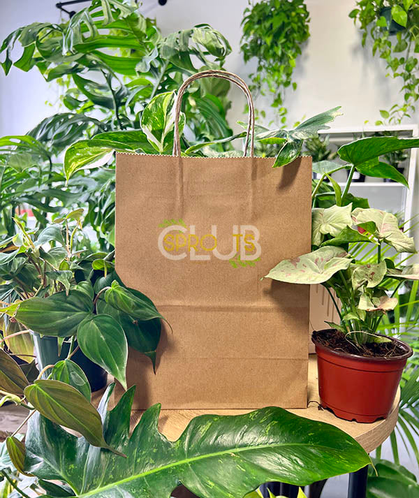 Sprouts Club Subscription