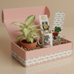 Jenisprouts Gift Box - A Thoughtful Plant Surprise