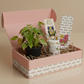 Jenisprouts Gift Box - A Thoughtful Plant Surprise