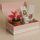 Jenisprouts Gift Box - A Thoughtful Plant Surprise